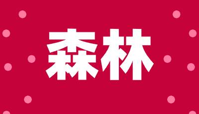 森林m3u8切片资源去广告json解析接口源码-百谷资源网